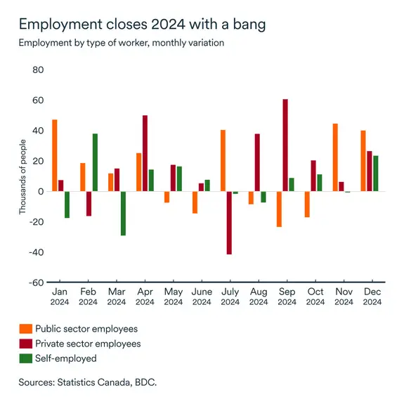 MEL January 2025 graph: Employment