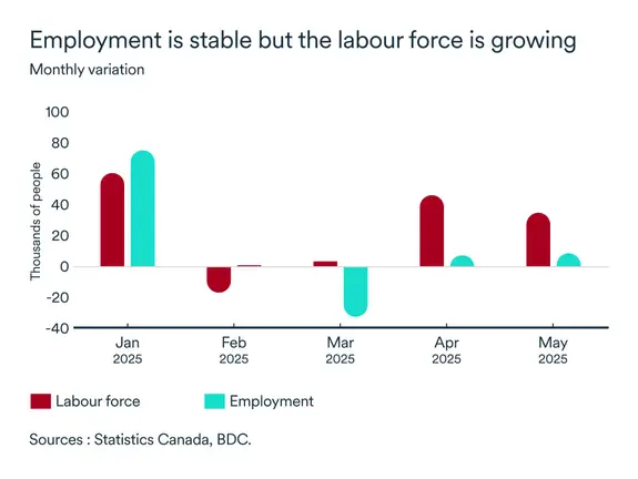 MEL June 2025 graph: Employment