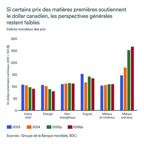 Graphique LÉM novembre 2025 : Indices mondiaux des prix